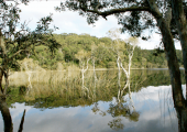 photo of Australian lake with mirror reflection